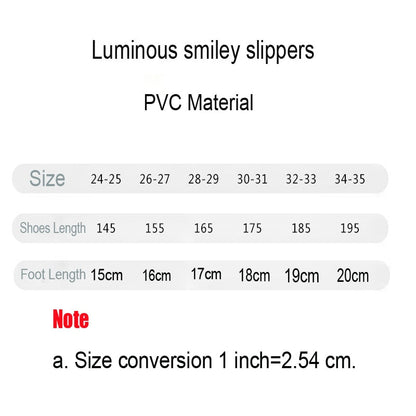 LED Lightup Unisex Slippers