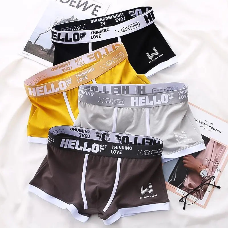 Plus Size Men's Underwear