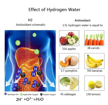 Hydrogen Water Bottle