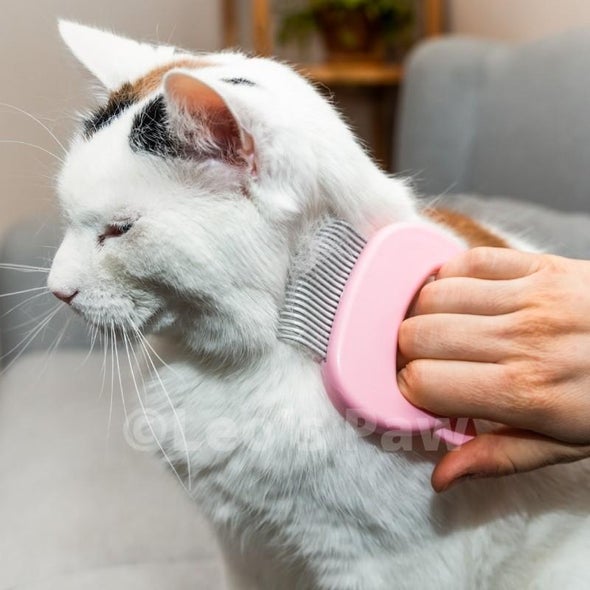 Torrard™ Cat Hair Comb