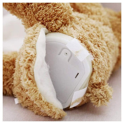 Cuddle Bear Toy