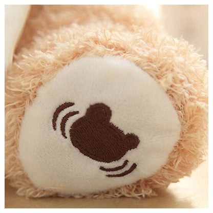 Cuddle Bear Toy